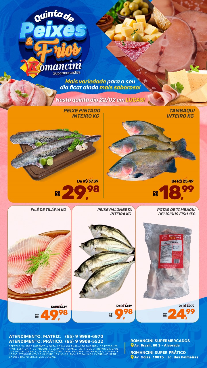 WhatsApp Image 2024-02-22 at 08.01.09